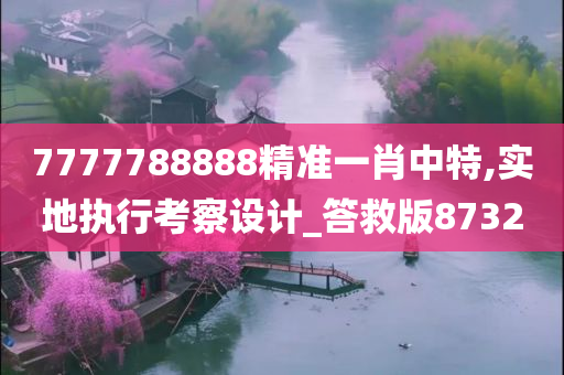 7777788888精准一肖中特,实地执行考察设计_答救版8732