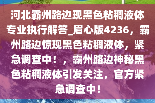 河北霸州路边现黑色粘稠液体专业执行解答_眉心版4236，霸州路边惊现黑色粘稠液体，紧急调查中！，霸州路边神秘黑色粘稠液体引发关注，官方紧急调查中！