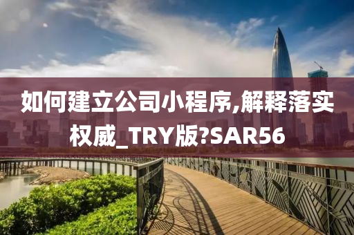 如何建立公司小程序,解释落实权威_TRY版?SAR56