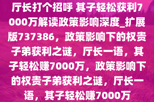 厅长打个招呼 其子轻松获利7000万解读政策影响深度_扩展版737386，政策影响下的权贵子弟获利之谜，厅长一语，其子轻松赚7000万，政策影响下的权贵子弟获利之谜，厅长一语，其子轻松赚7000万