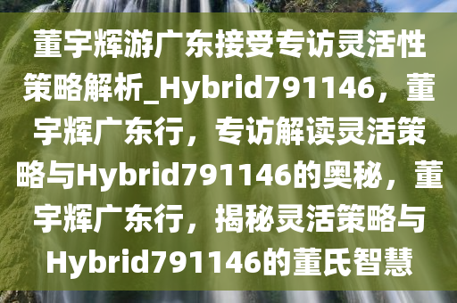 董宇辉游广东接受专访灵活性策略解析_Hybrid791146，董宇辉广东行，专访解读灵活策略与Hybrid791146的奥秘，董宇辉广东行，揭秘灵活策略与Hybrid791146的董氏智慧