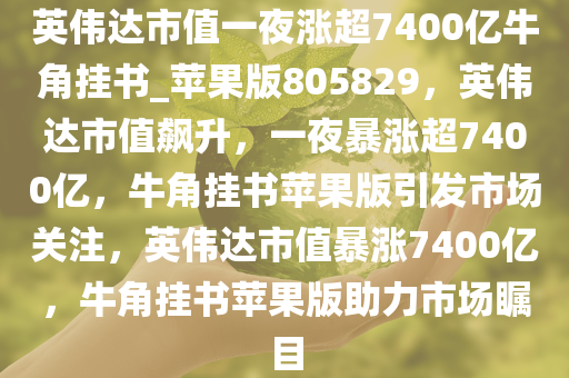 英伟达市值一夜涨超7400亿牛角挂书_苹果版805829，英伟达市值飙升，一夜暴涨超7400亿，牛角挂书苹果版引发市场关注，英伟达市值暴涨7400亿，牛角挂书苹果版助力市场瞩目