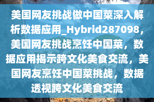 美国网友挑战做中国菜深入解析数据应用_Hybrid287098，美国网友挑战烹饪中国菜，数据应用揭示跨文化美食交流，美国网友烹饪中国菜挑战，数据透视跨文化美食交流