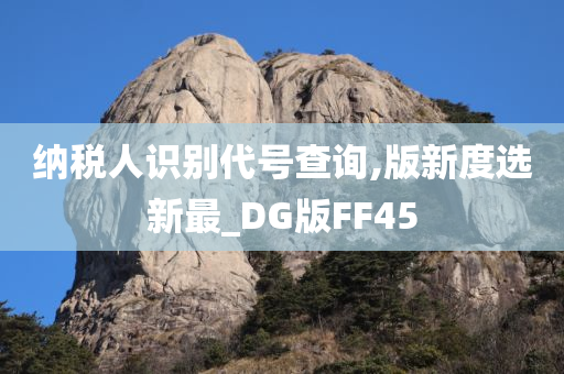 纳税人识别代号查询,版新度选新最_DG版FF45