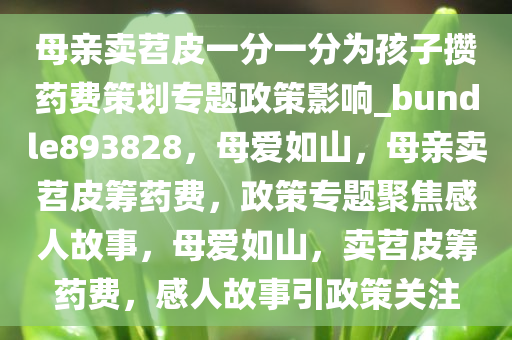 母亲卖苕皮一分一分为孩子攒药费策划专题政策影响_bundle893828，母爱如山，母亲卖苕皮筹药费，政策专题聚焦感人故事，母爱如山，卖苕皮筹药费，感人故事引政策关注