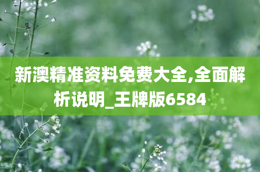 新澳精准资料免费大全,全面解析说明_王牌版6584