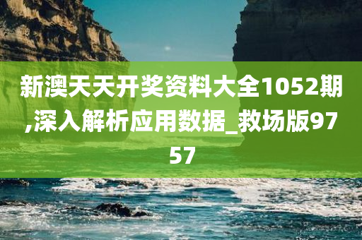 新澳天天开奖资料大全1052期,深入解析应用数据_救场版9757