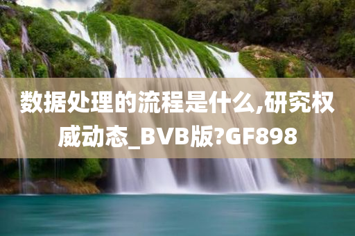 数据处理的流程是什么,研究权威动态_BVB版?GF898