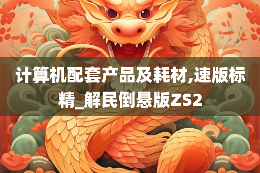 计算机配套产品及耗材,速版标精_解民倒悬版ZS2