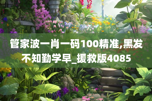 管家波一肖一码100精准,黑发不知勤学早_援救版4085