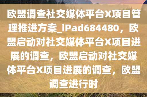 欧盟调查社交媒体平台X项目管理推进方案_iPad684480，欧盟启动对社交媒体平台X项目进展的调查，欧盟启动对社交媒体平台X项目进展的调查，欧盟调查进行时