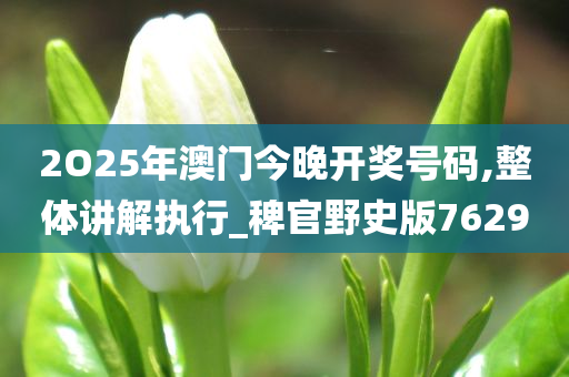 2O25年澳门今晚开奖号码,整体讲解执行_稗官野史版7629