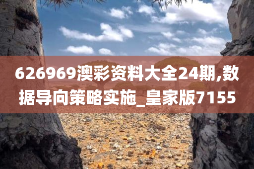 626969澳彩资料大全24期,数据导向策略实施_皇家版7155