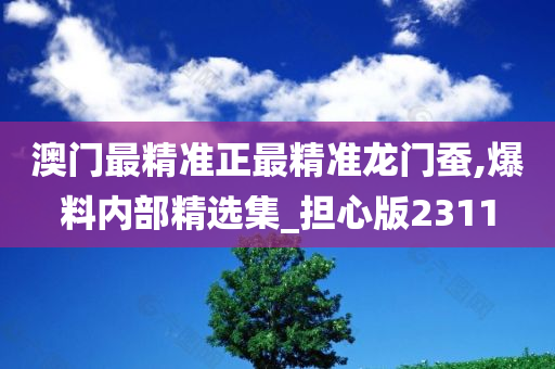 澳门最精准正最精准龙门蚕,爆料内部精选集_担心版2311