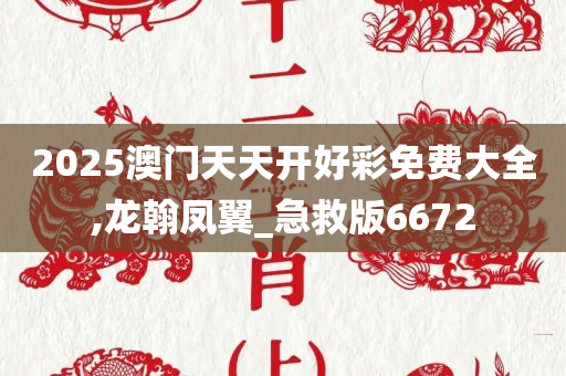 2025澳门天天开好彩免费大全,龙翰凤翼_急救版6672