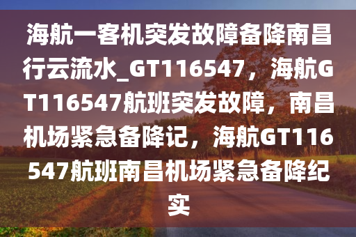 海航一客机突发故障备降南昌行云流水_GT116547，海航GT116547航班突发故障，南昌机场紧急备降记，海航GT116547航班南昌机场紧急备降纪实