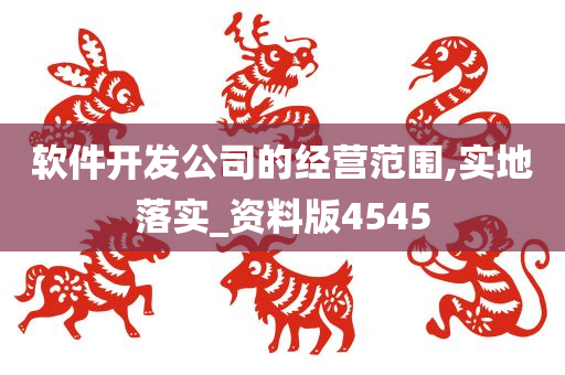 软件开发公司的经营范围,实地落实_资料版4545