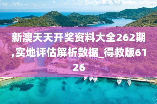 新澳天天开奖资料大全262期,实地评估解析数据_得救版6126