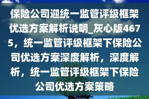 保险公司迎统一监管评级框架优选方案解析说明_灰心版4675，统一监管评级框架下保险公司优选方案深度解析，深度解析，统一监管评级框架下保险公司优选方案策略