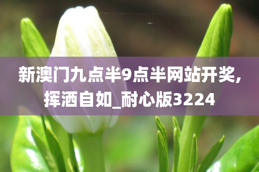 新澳门九点半9点半网站开奖,挥洒自如_耐心版3224