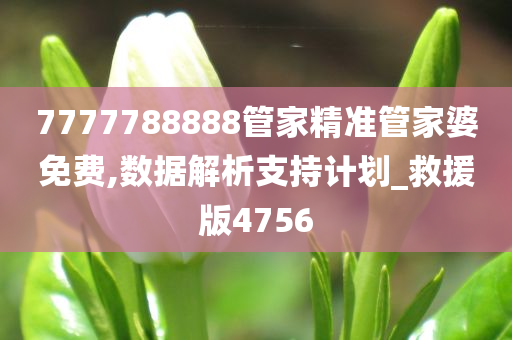 7777788888管家精准管家婆免费,数据解析支持计划_救援版4756