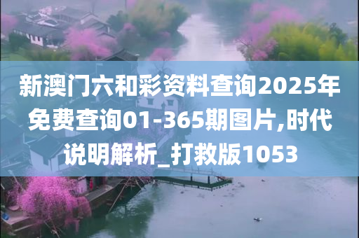 新澳门六和彩资料查询2025年免费查询01-365期图片,时代说明解析_打救版1053