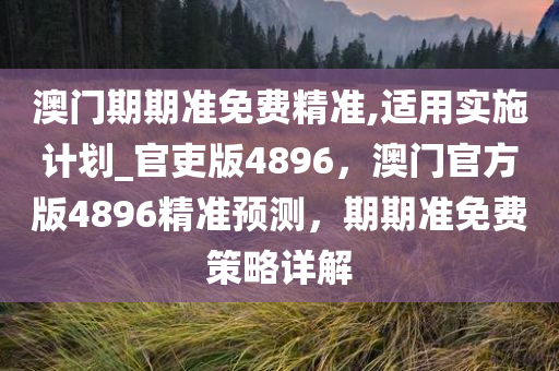 澳门期期准免费精准,适用实施计划_官吏版4896，澳门官方版4896精准预测，期期准免费策略详解