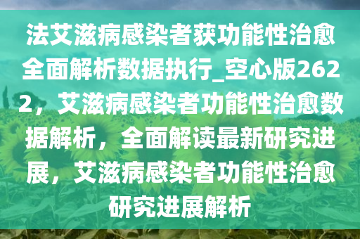 法艾滋病感染者获功能性治愈全面解析数据执行_空心版2622，艾滋病感染者功能性治愈数据解析，全面解读最新研究进展，艾滋病感染者功能性治愈研究进展解析