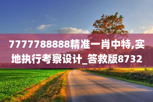 7777788888精准一肖中特,实地执行考察设计_答救版8732