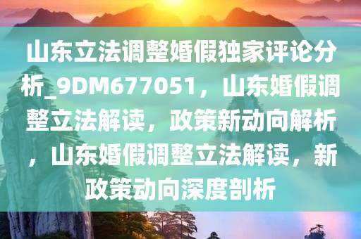 山东立法调整婚假独家评论分析_9DM677051，山东婚假调整立法解读，政策新动向解析，山东婚假调整立法解读，新政策动向深度剖析