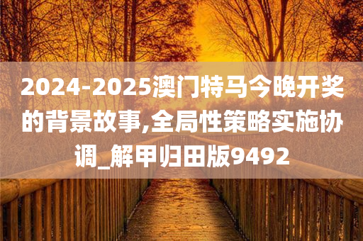 2024-2025澳门特马今晚开奖的背景故事,全局性策略实施协调_解甲归田版9492