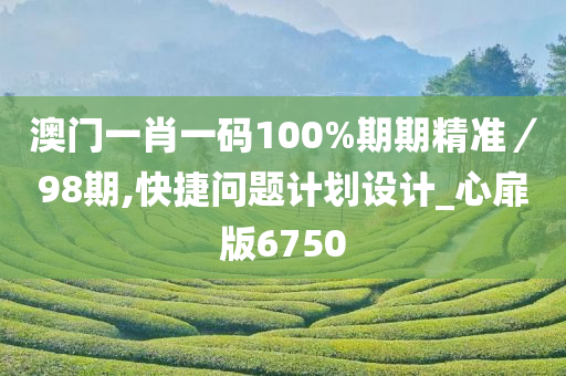 澳门一肖一码100%期期精准／98期,快捷问题计划设计_心扉版6750