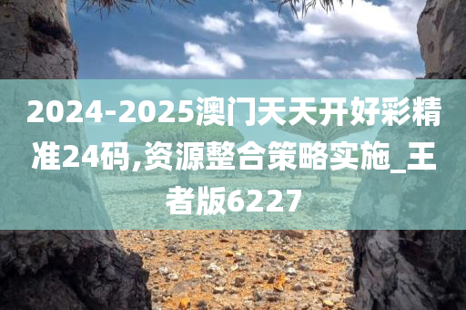 2024-2025澳门天天开好彩精准24码,资源整合策略实施_王者版6227