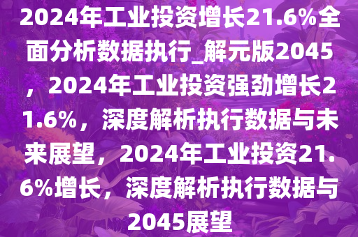 2024年工业投资增长21.6%全面分析数据执行_解元版2045，2024年工业投资强劲增长21.6%，深度解析执行数据与未来展望，2024年工业投资21.6%增长，深度解析执行数据与2045展望