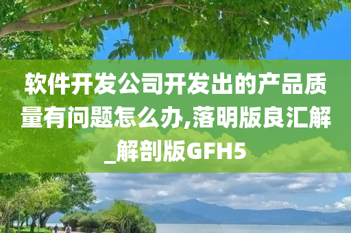 软件开发公司开发出的产品质量有问题怎么办,落明版良汇解_解剖版GFH5