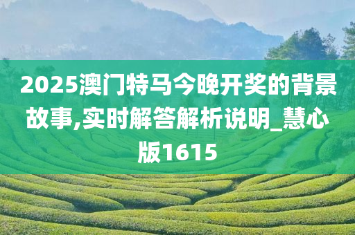 2025澳门特马今晚开奖的背景故事,实时解答解析说明_慧心版1615