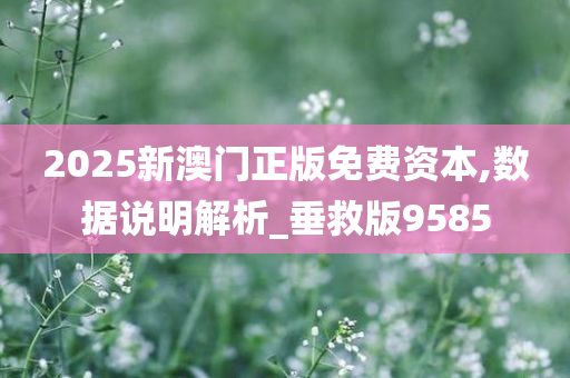 2025新澳门正版免费资本,数据说明解析_垂救版9585