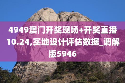 4949澳门开奖现场+开奖直播10.24,实地设计评估数据_调解版5946