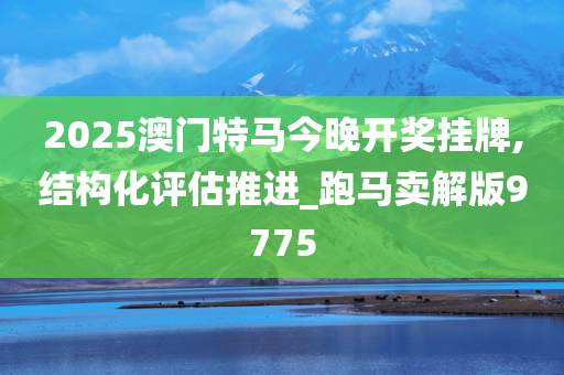 2025澳门特马今晚开奖挂牌,结构化评估推进_跑马卖解版9775