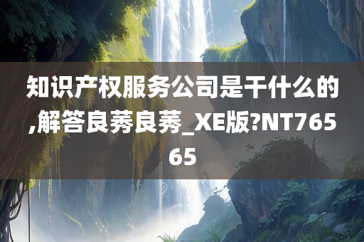 知识产权服务公司是干什么的,解答良莠良莠_XE版?NT76565