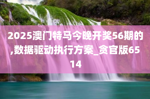 2025澳门特马今晚开奖56期的,数据驱动执行方案_贪官版6514