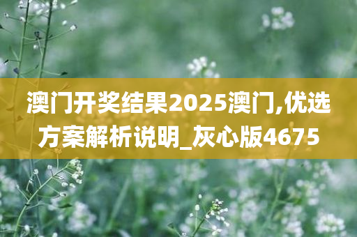 澳门开奖结果2025澳门,优选方案解析说明_灰心版4675