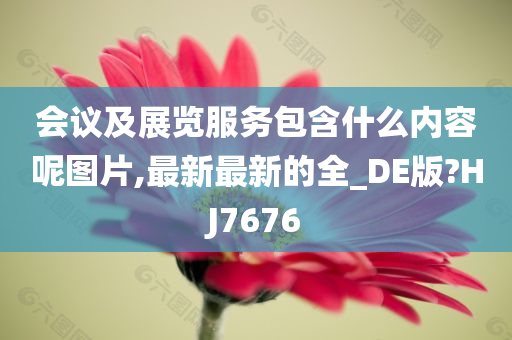 会议及展览服务包含什么内容呢图片,最新最新的全_DE版?HJ7676