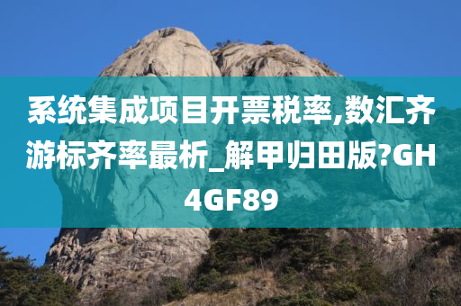 系统集成项目开票税率,数汇齐游标齐率最析_解甲归田版?GH4GF89