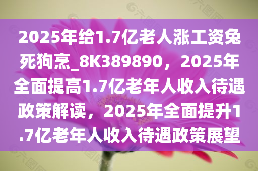 2025年给1.7亿老人涨工资兔死狗烹_8K389890，2025年全面提高1.7亿老年人收入待遇政策解读，2025年全面提升1.7亿老年人收入待遇政策展望