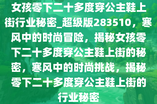 女孩零下二十多度穿公主鞋上街行业秘密_超级版283510，寒风中的时尚冒险，揭秘女孩零下二十多度穿公主鞋上街的秘密，寒风中的时尚挑战，揭秘零下二十多度穿公主鞋上街的行业秘密