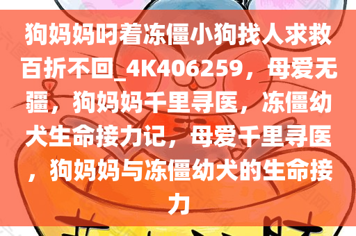 狗妈妈叼着冻僵小狗找人求救百折不回_4K406259，母爱无疆，狗妈妈千里寻医，冻僵幼犬生命接力记，母爱千里寻医，狗妈妈与冻僵幼犬的生命接力