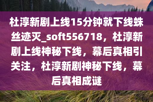 杜淳新剧上线15分钟就下线蛛丝迹灭_soft556718，杜淳新剧上线神秘下线，幕后真相引关注，杜淳新剧神秘下线，幕后真相成谜