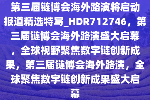 第三届链博会海外路演将启动报道精选特写_HDR712746，第三届链博会海外路演盛大启幕，全球视野聚焦数字链创新成果，第三届链博会海外路演，全球聚焦数字链创新成果盛大启幕