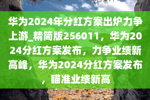 华为2024年分红方案出炉力争上游_精简版256011，华为2024分红方案发布，力争业绩新高峰，华为2024分红方案发布，瞄准业绩新高